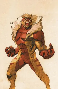 Volume cover